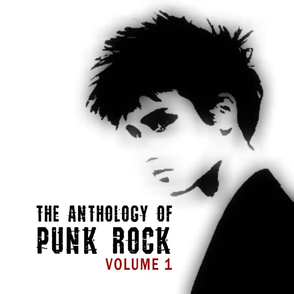 Anthology Of Punk Rock Vol. 1