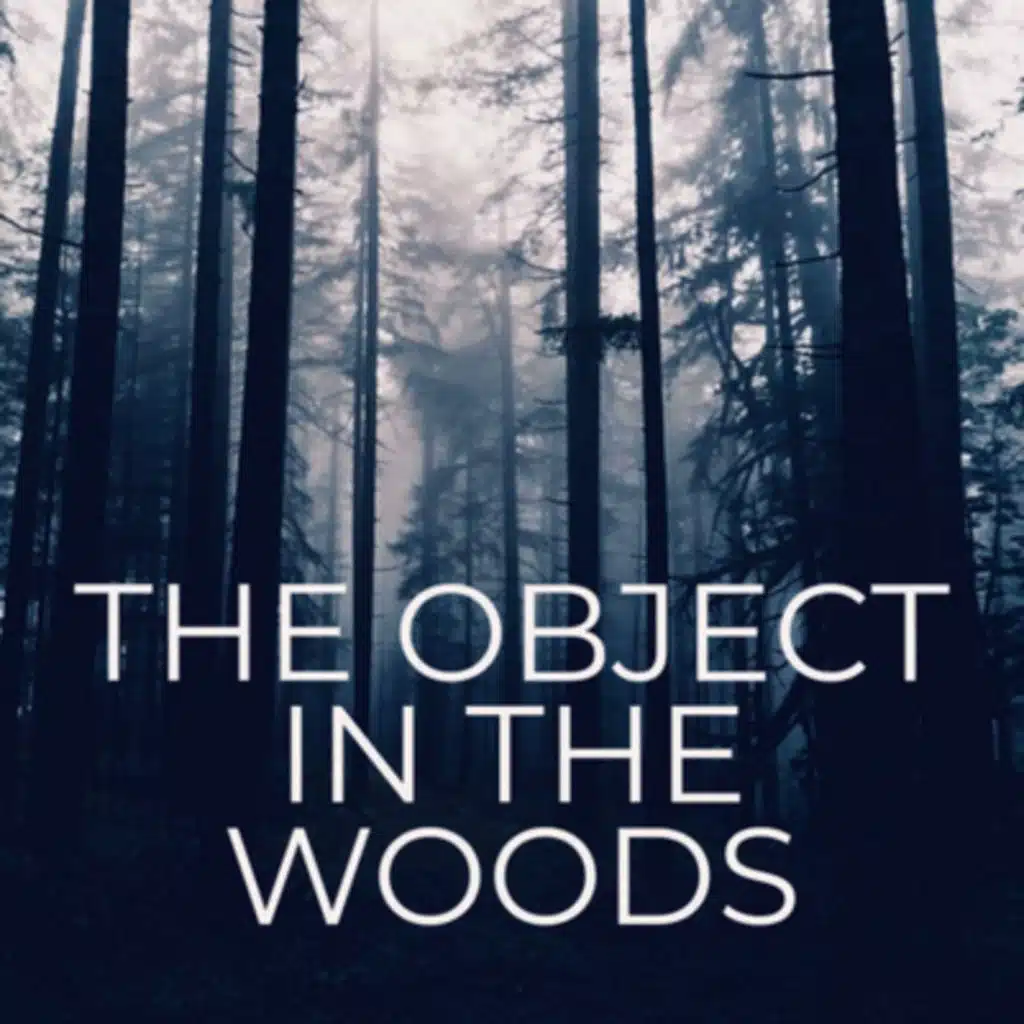 The Object in the Woods - The Disappearance of Thomas Hamilton 