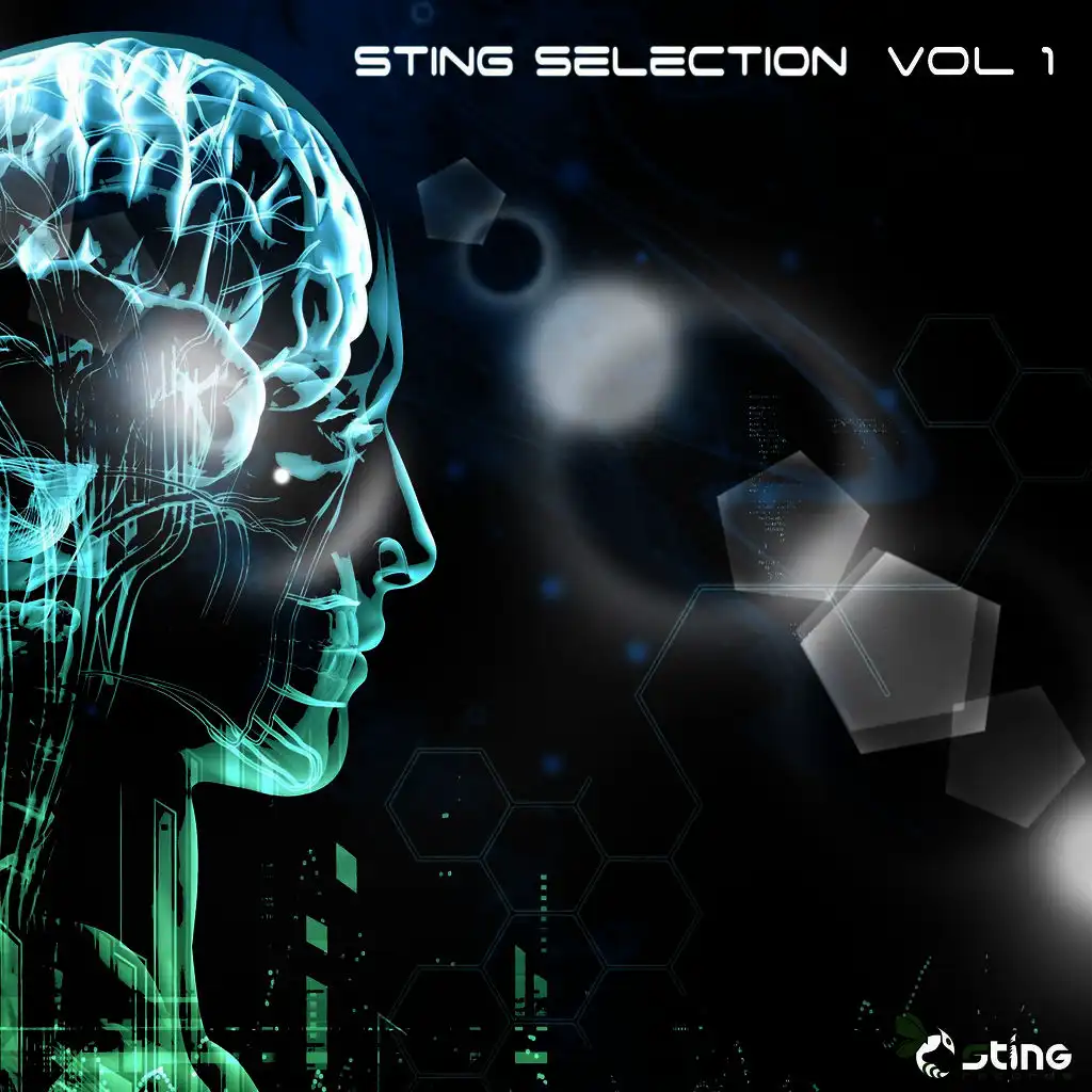 Stingadelics (Original Mix)