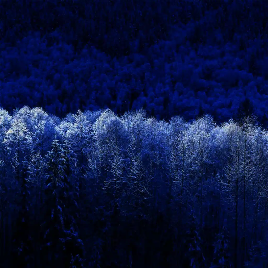 The End Is Just The Begining