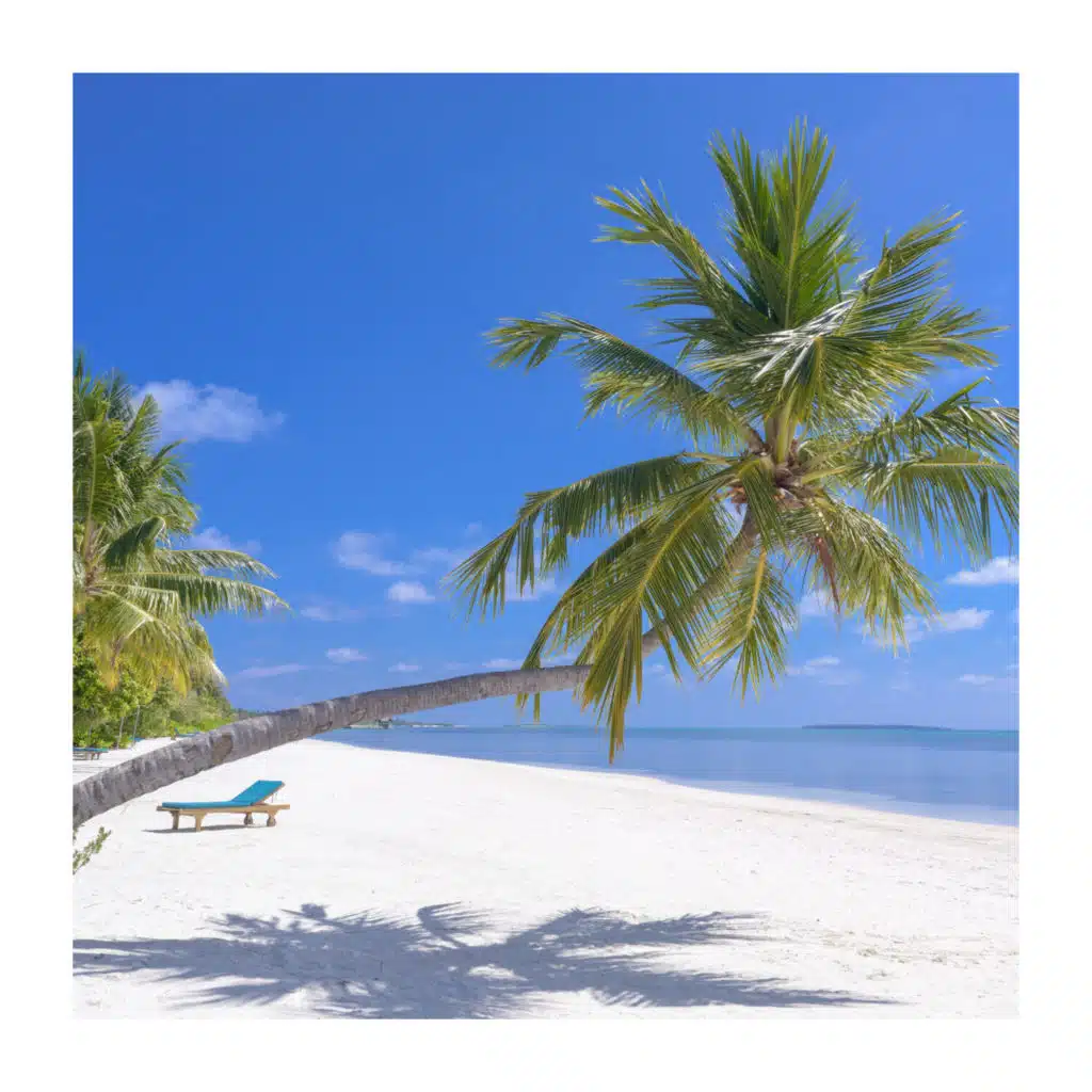 Focus on Deep Relaxation Only