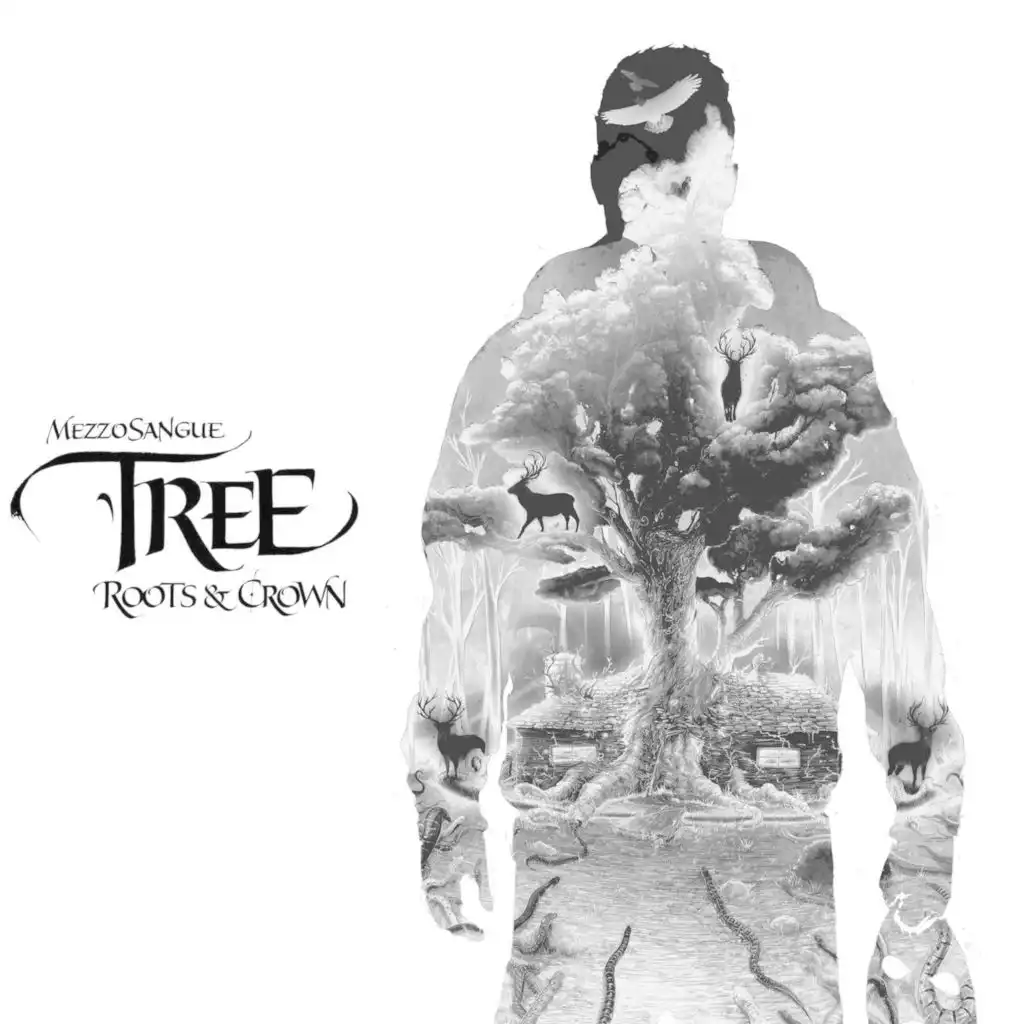 Tree - Roots & Crown [New Edition]