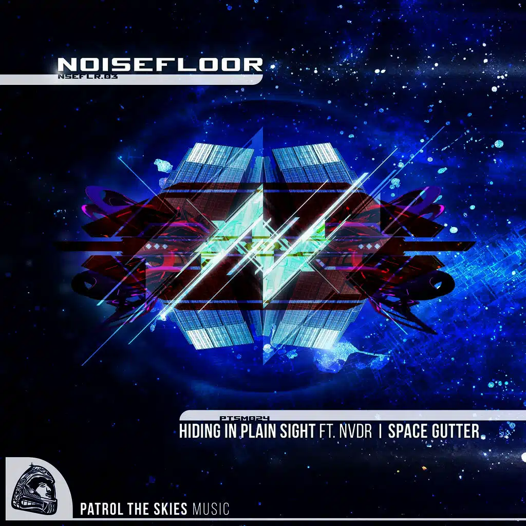 Hiding In Plain Sight / Space Gutter