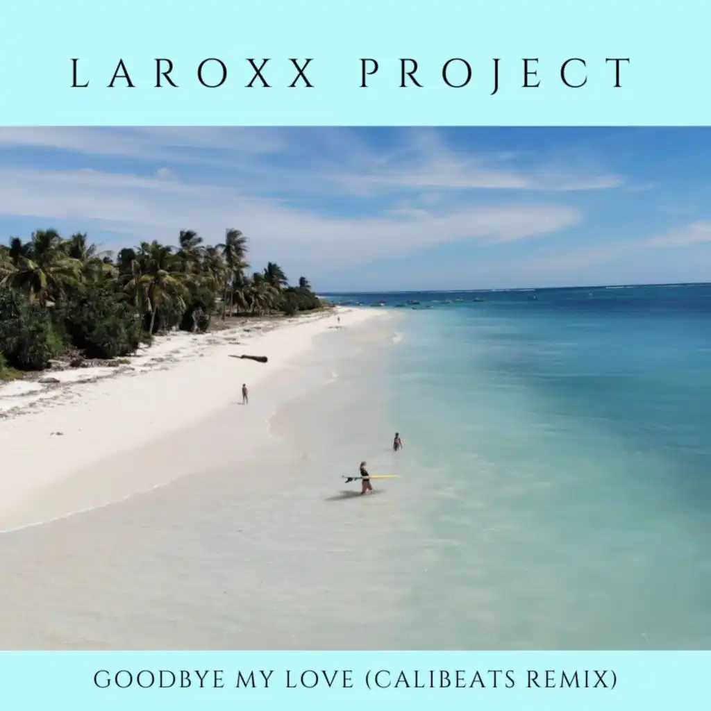 Goodbye My Love (Calibeats Remix Radio Edit)