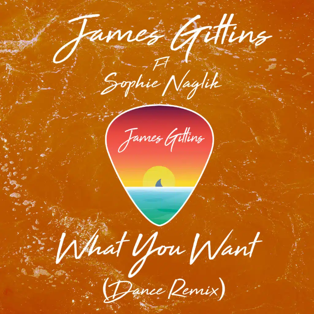 What You Want (Dance Remix) [feat. Sophie Naglik]