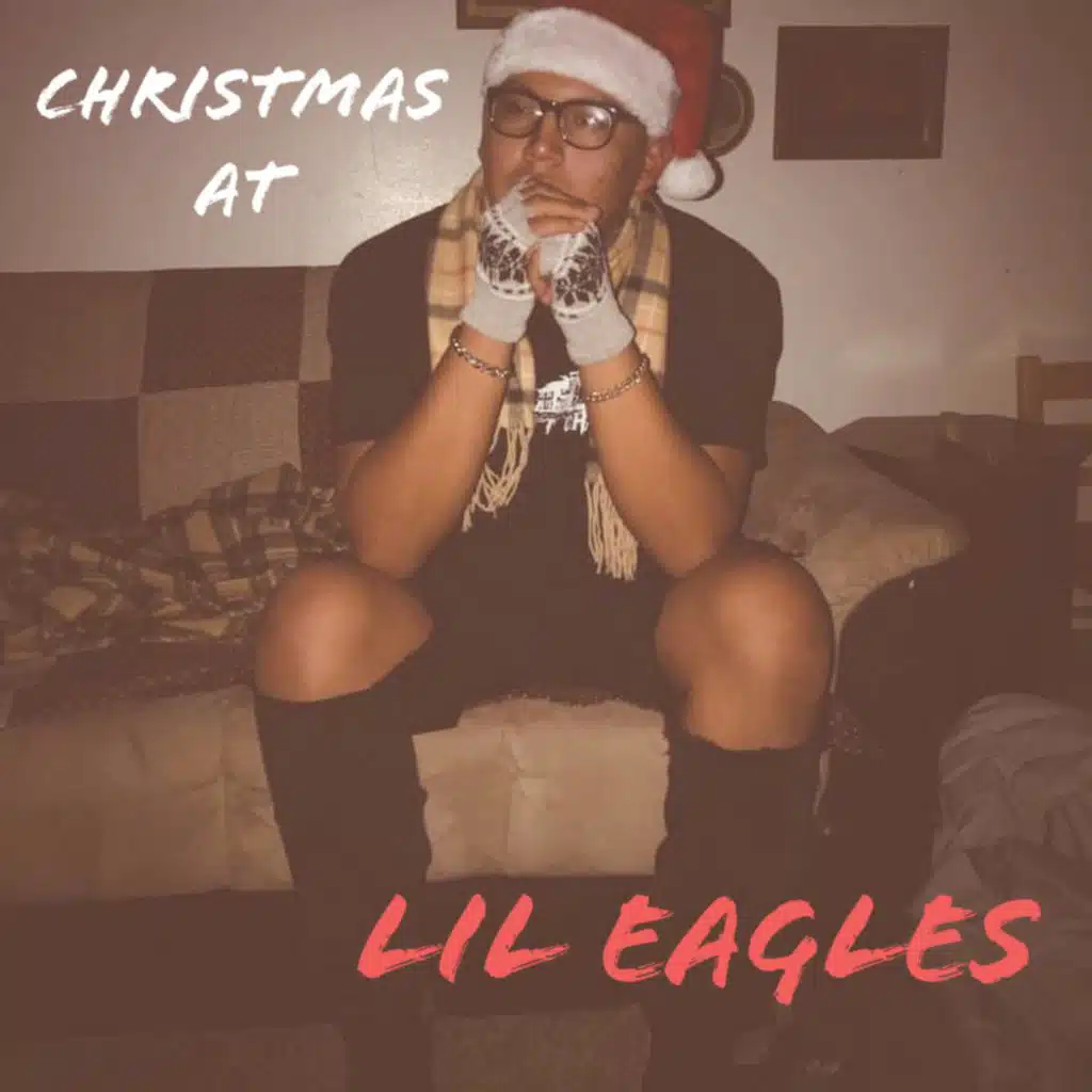 Christmas Swag