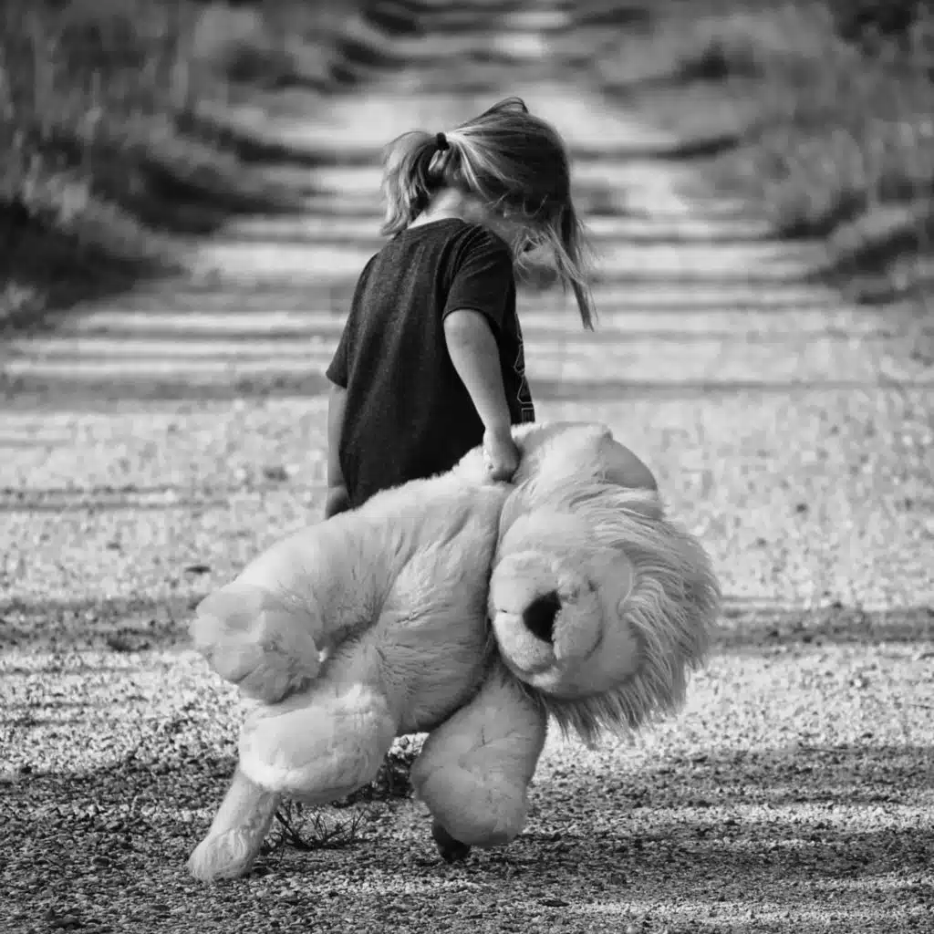 All the Dreams