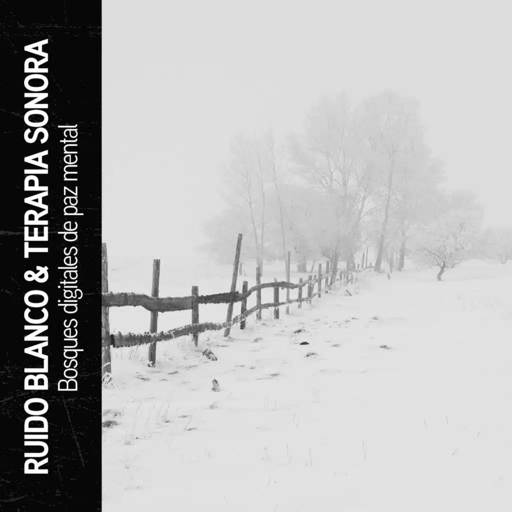 Música Relajante Para Leer, Ruido Blanco Hart & Solfeggio Healing Frequencies