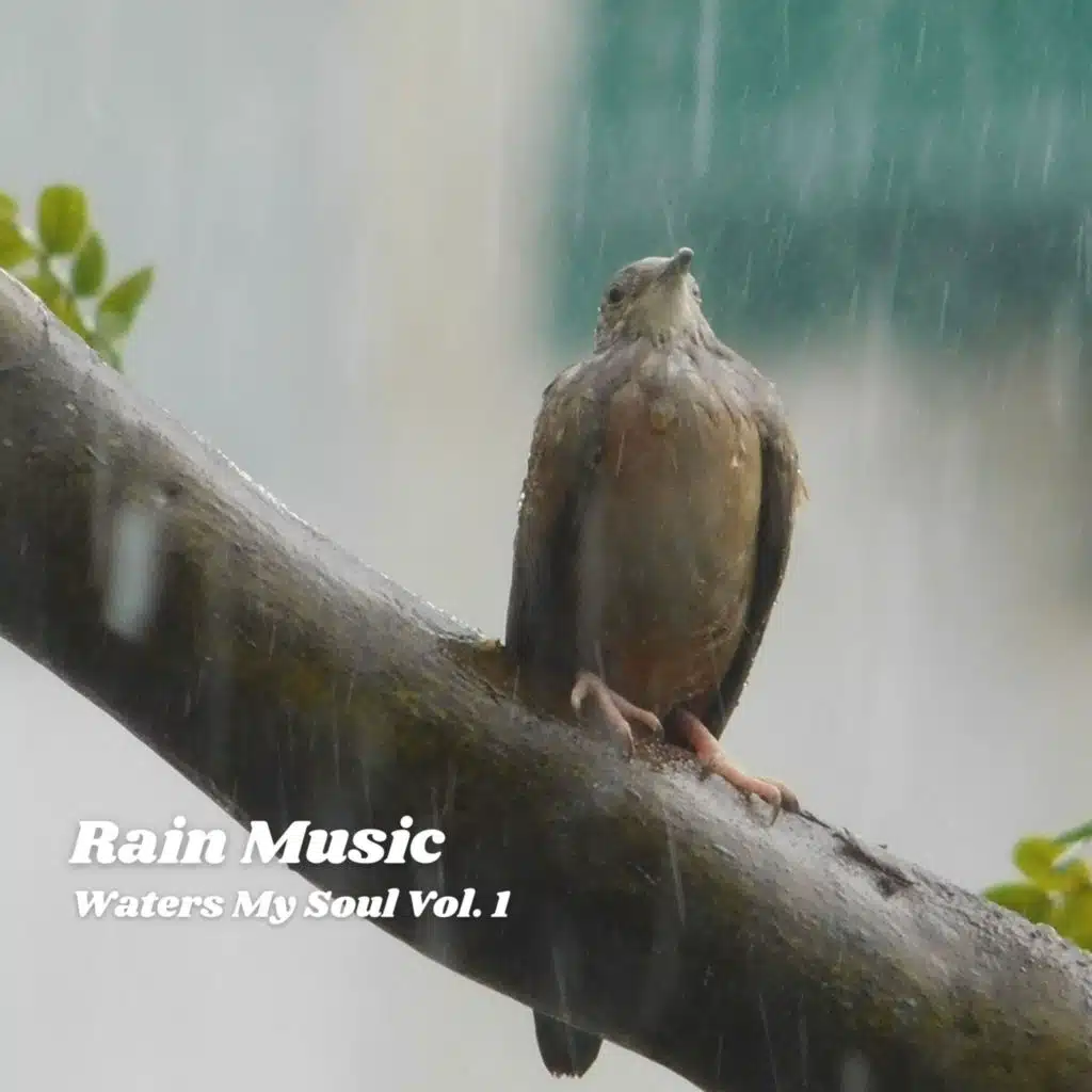 Rain Music: Waters My Soul Vol. 1