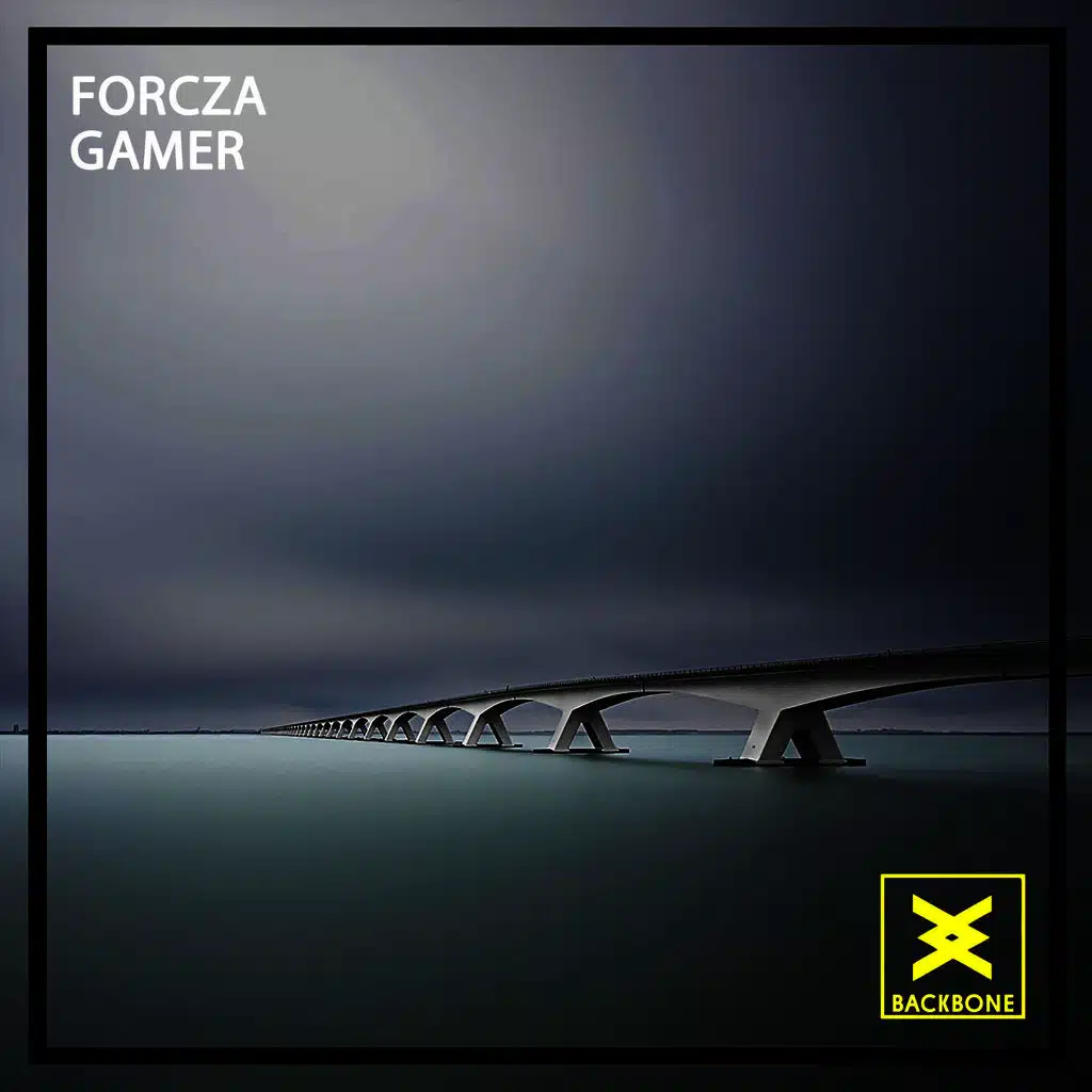 Gamer