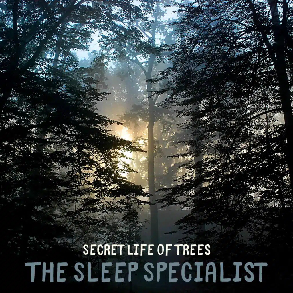 Secret Life of Trees