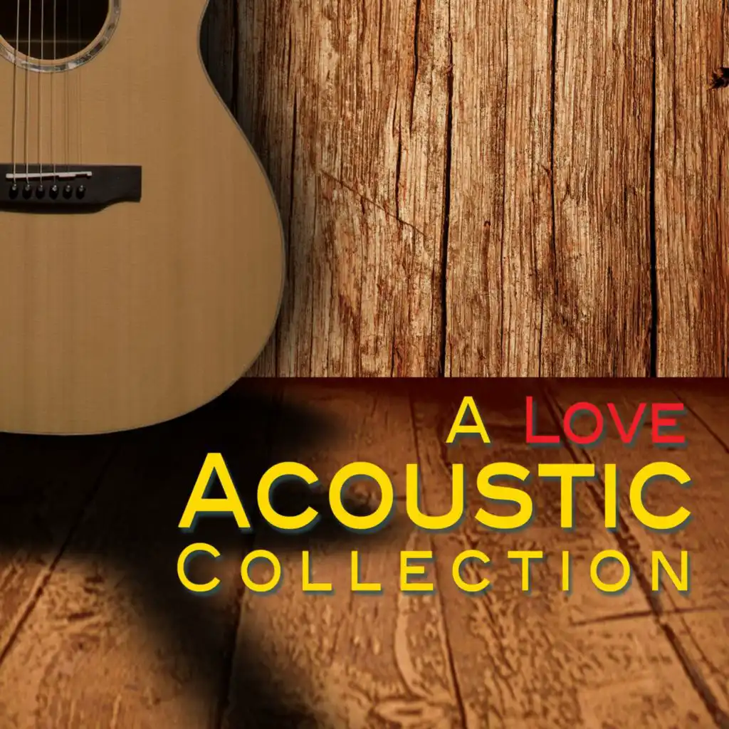 A Love Acoustic Collection