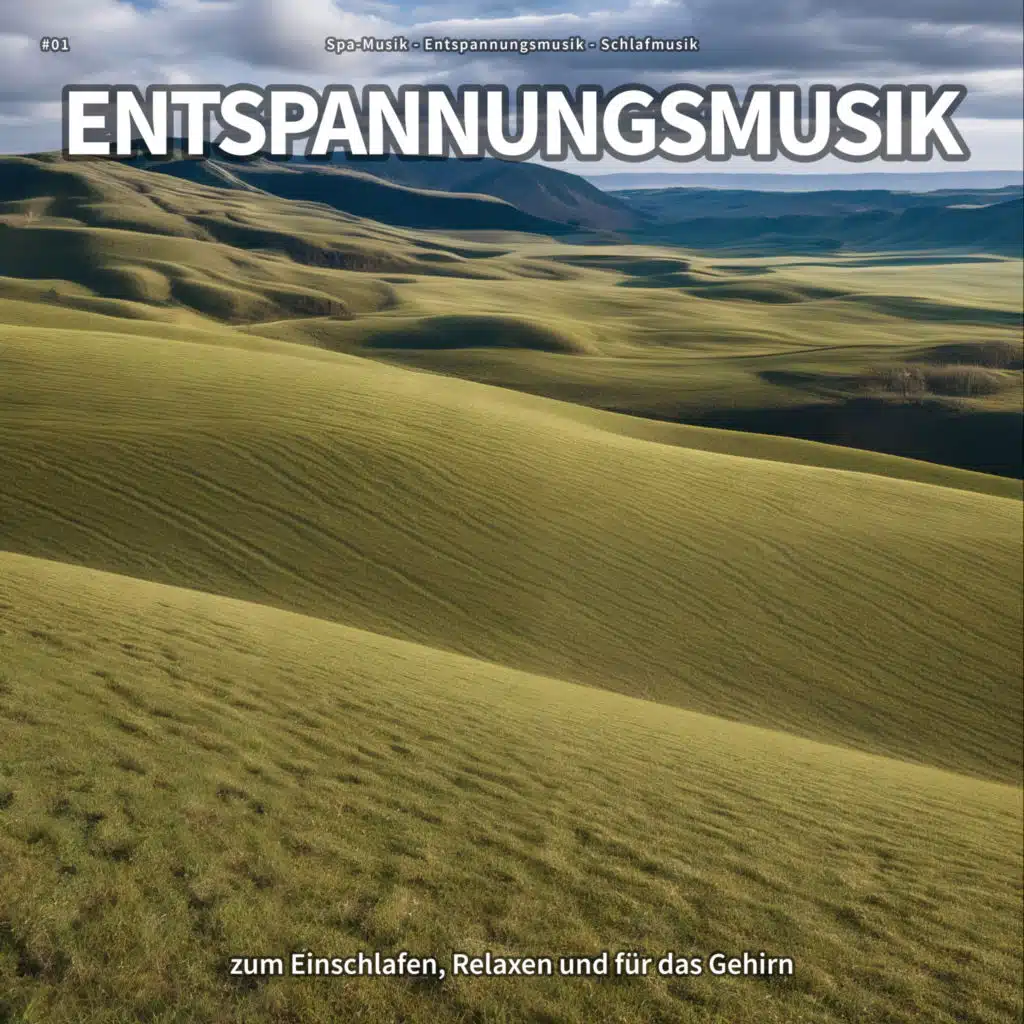 #01 Entspannungsmusik zum Einschlafen, Relaxen und für das Gehirn