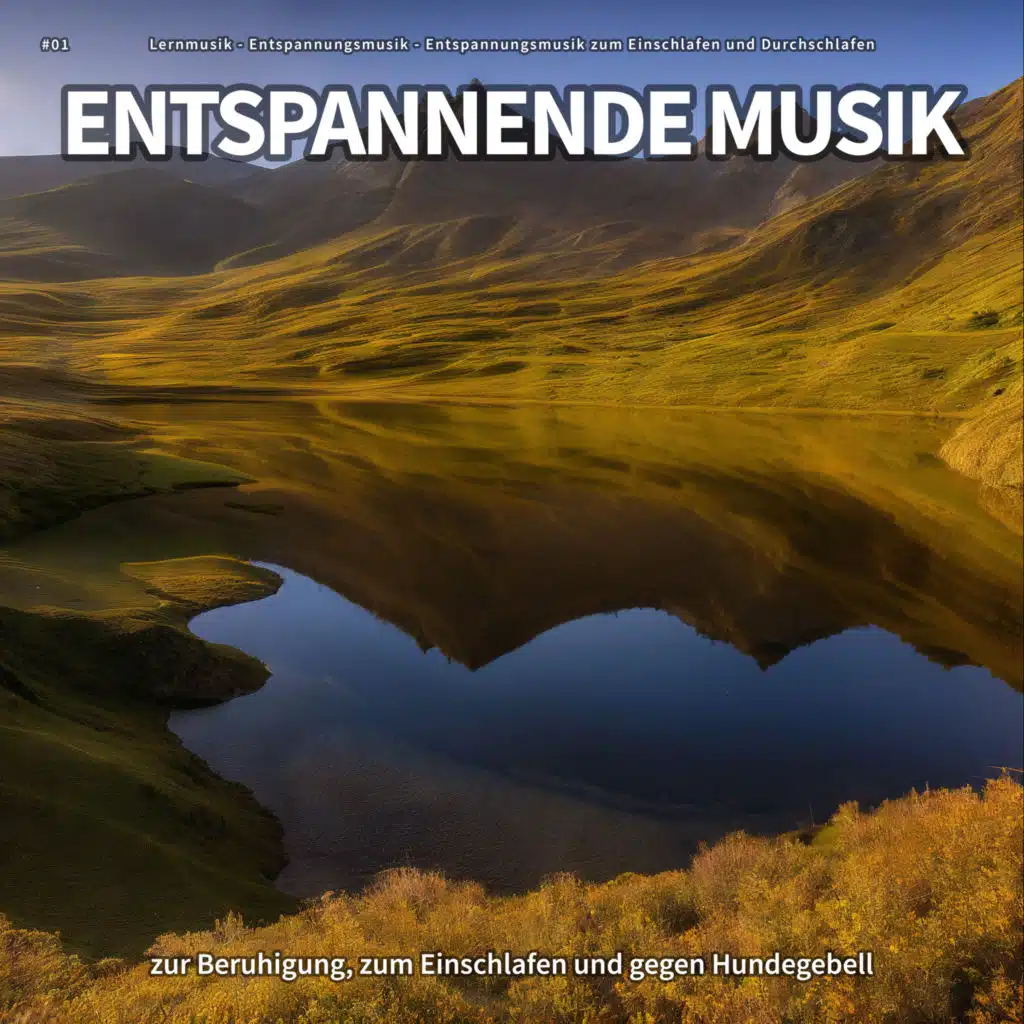 #01 Entspannende Musik zur Beruhigung, zum Einschlafen und gegen Hundegebell