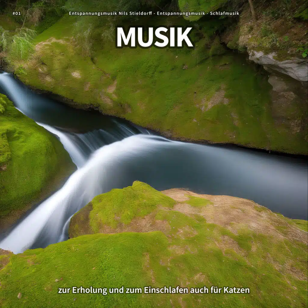 #01 Musik zur Erholung und zum Einschlafen auch für Katzen
