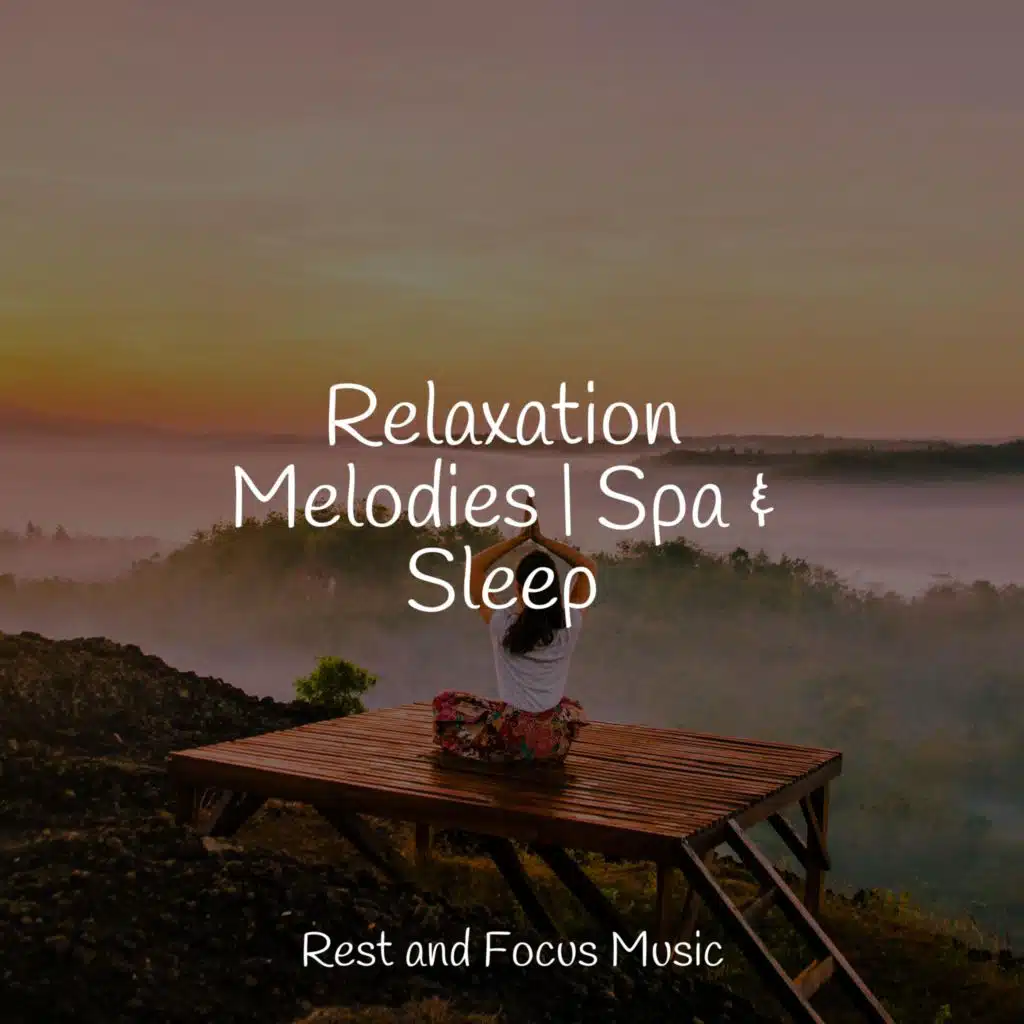 Relaxation Melodies | Spa & Sleep