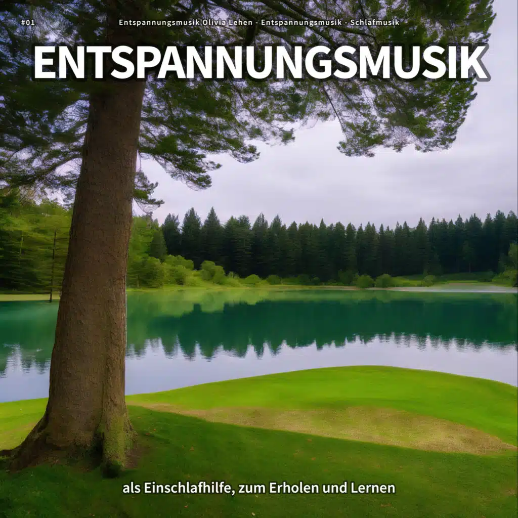 #01 Entspannungsmusik als Einschlafhilfe, zum Erholen und Lernen