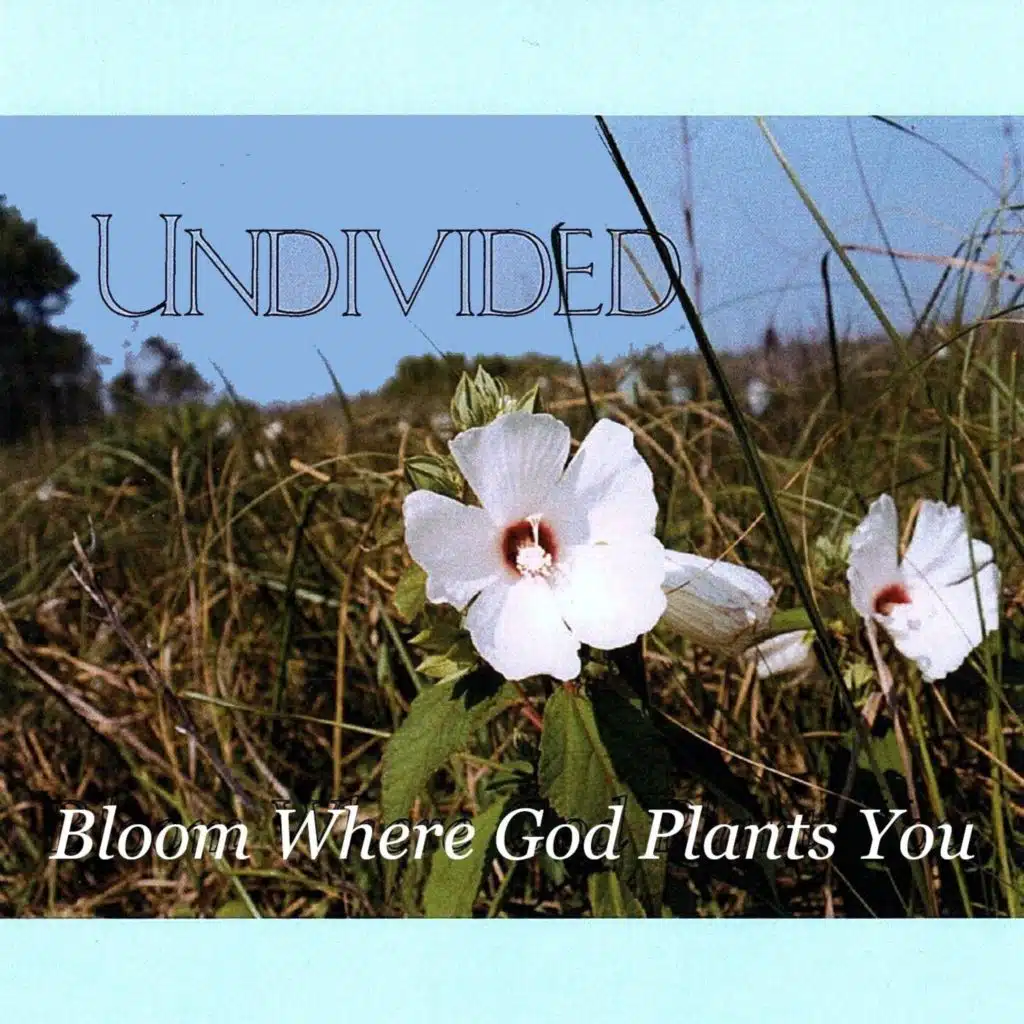 Bloom Where God Plants You
