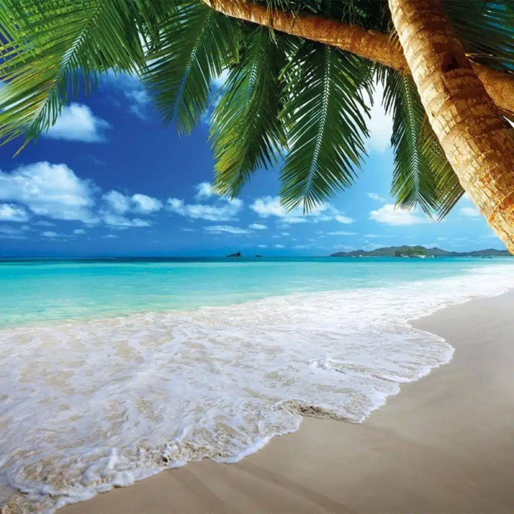 Tu Cuerpo Me Llama (Remix) [feat. Reykon & LOS MORTAL COMBAT]