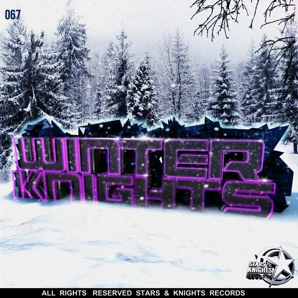 Winter Knights