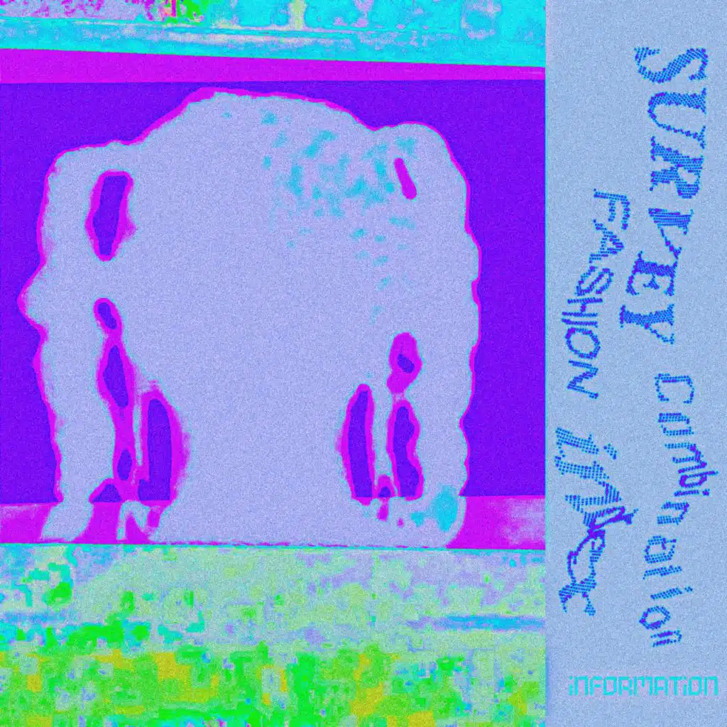 Survey Combination Fashion Index