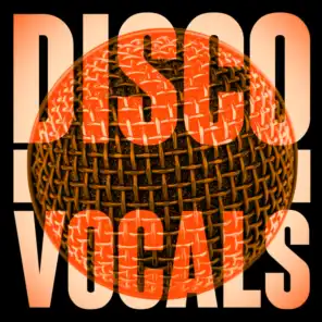 Disco Vocals: Soulful Dancefloor Cuts Featuring 23 Of The Best Grooves
