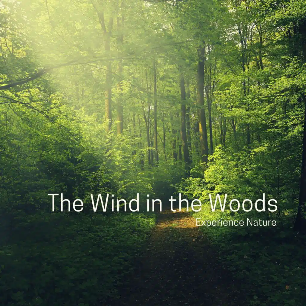 The Wind in the Woods