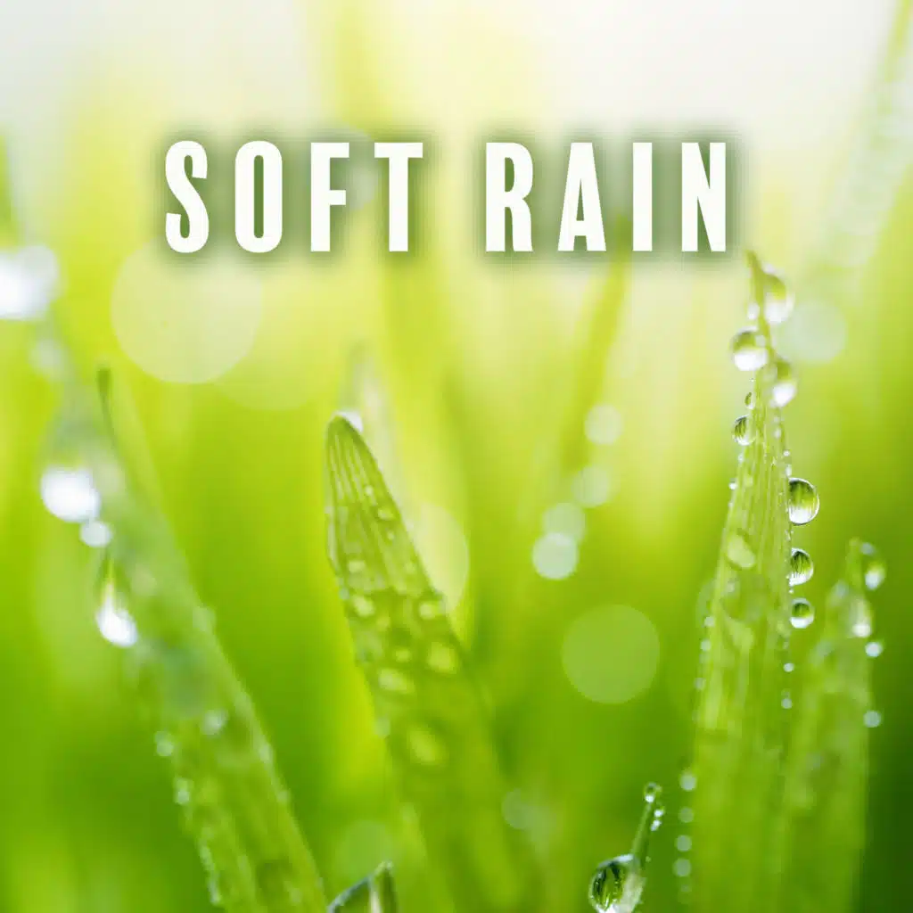 Healing Rain Sound Academy