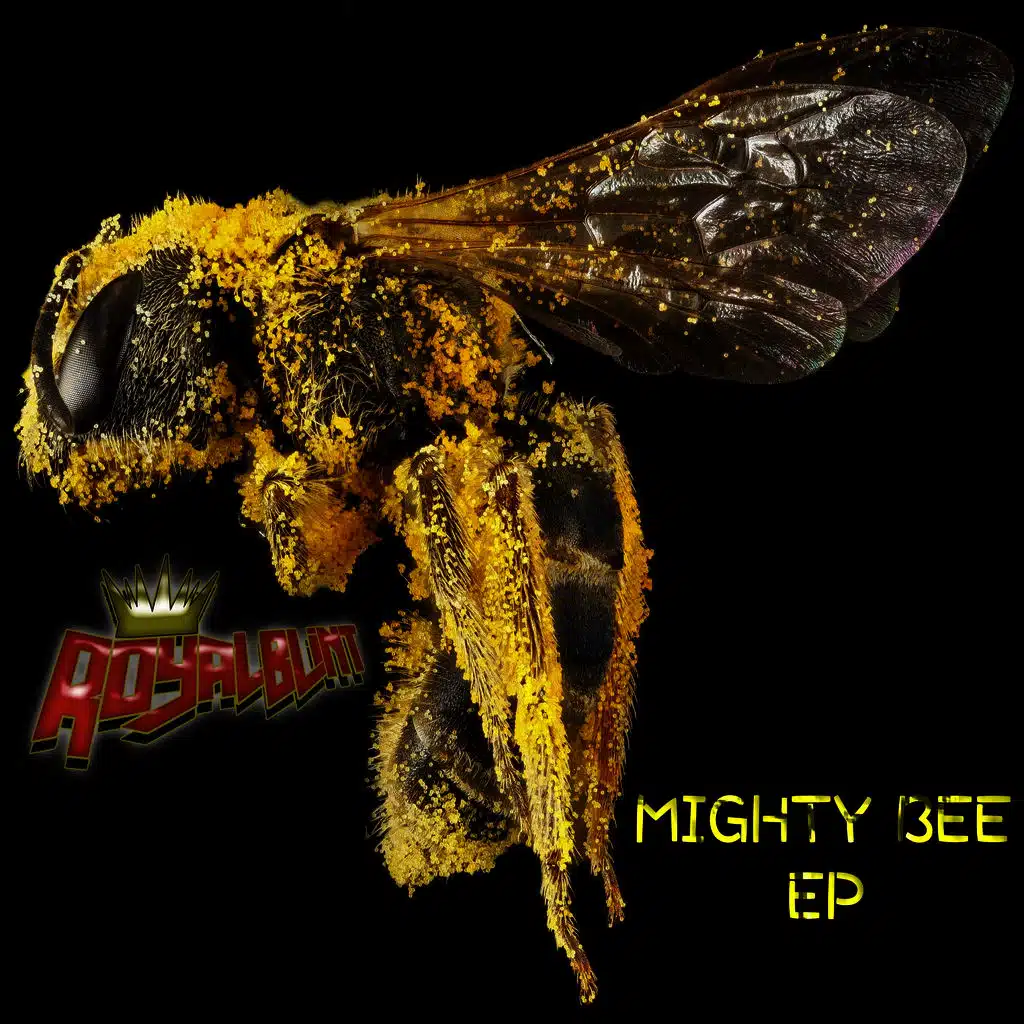 Mighty Bee EP