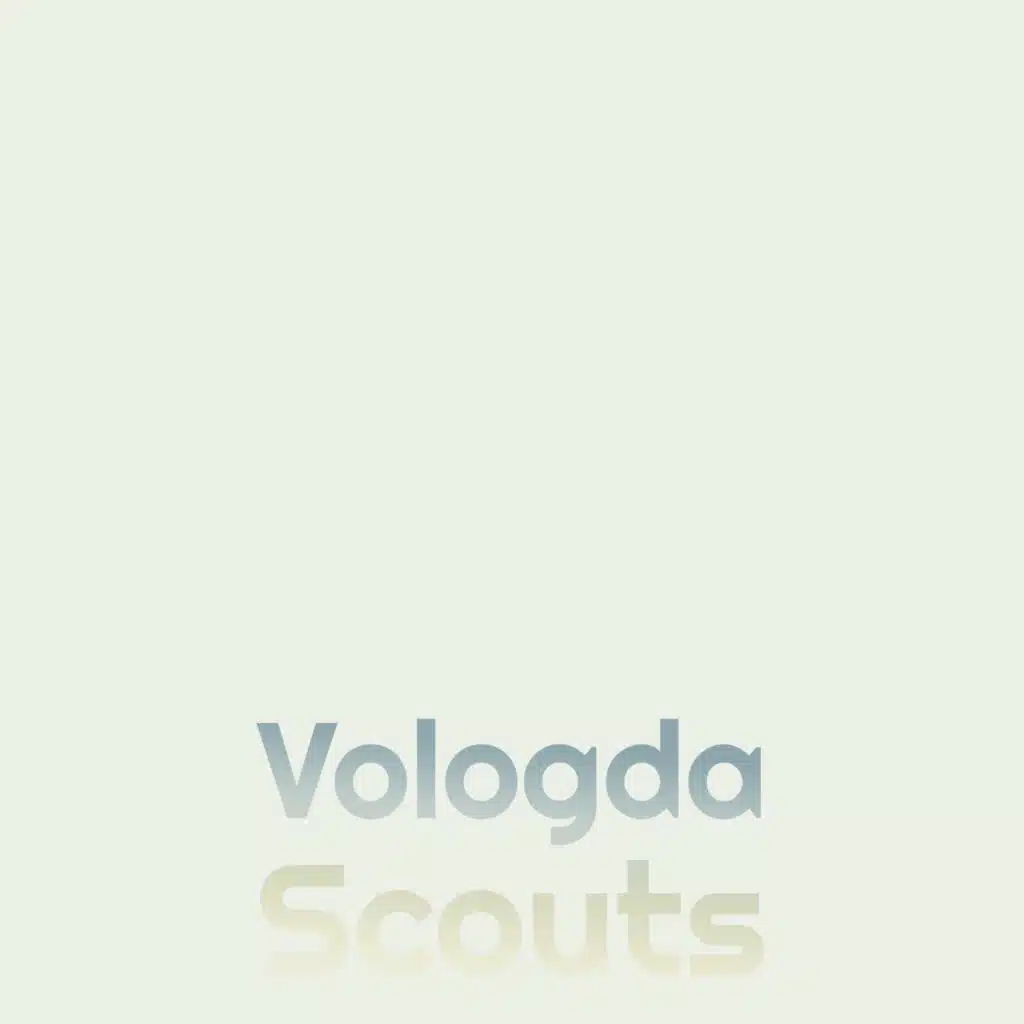 Vologda Scouts