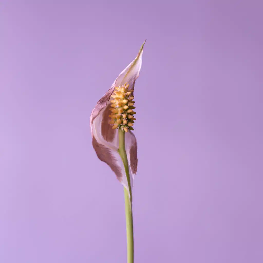 До клеточки, до сантиметра