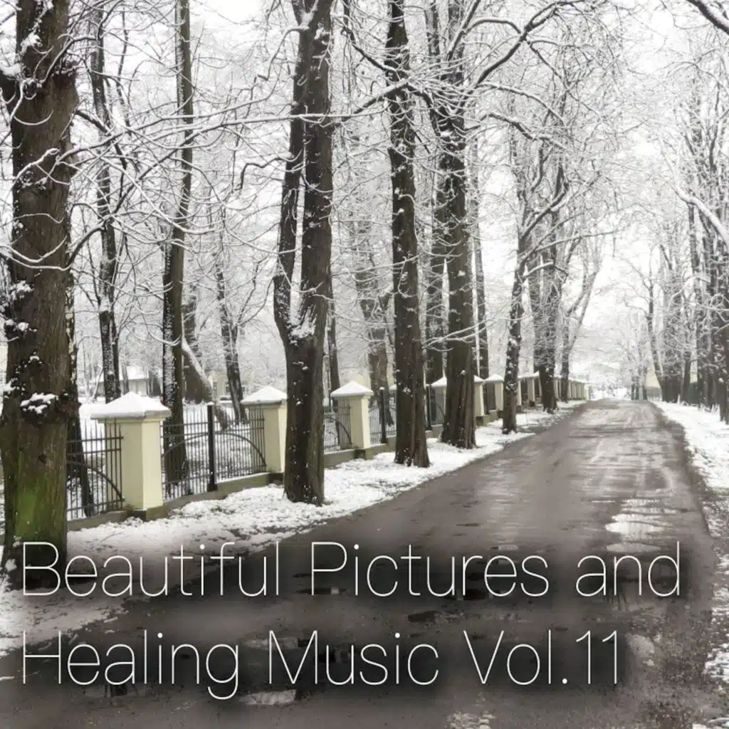 Beautiful Pictures and Healing Music Vol.11 (Women's Public Opinion ver.)