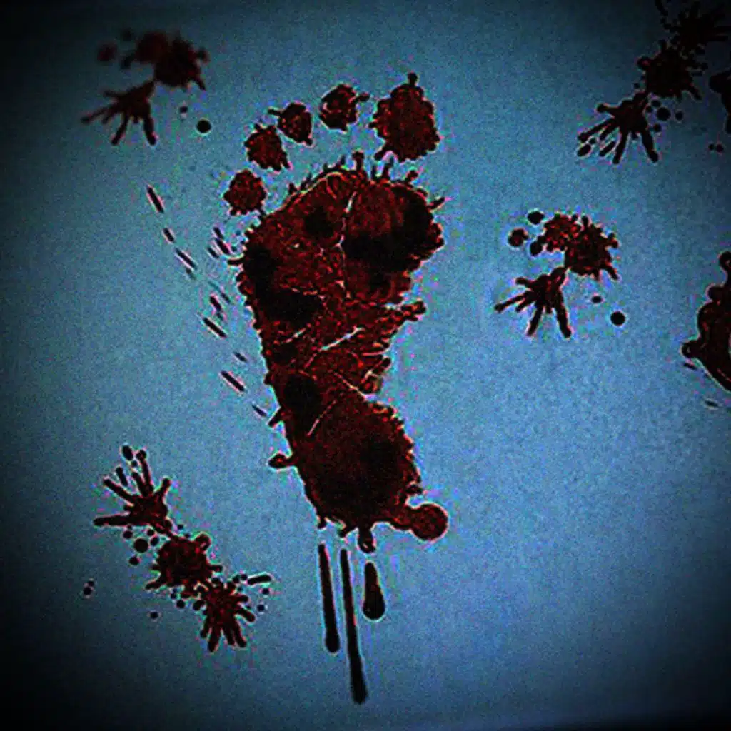 Cold Feet Warm Blood | Part 1