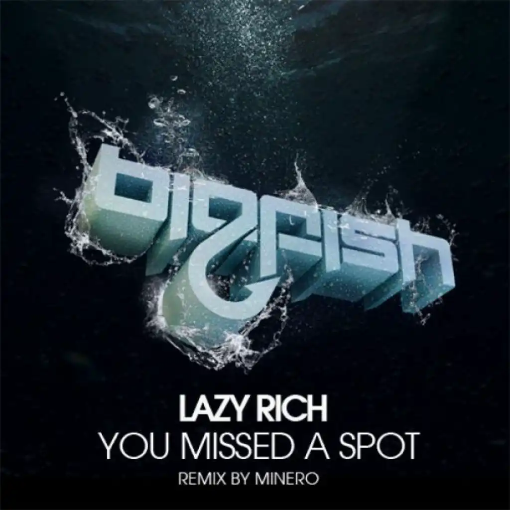 You Missed A Spot (Minero Remix)