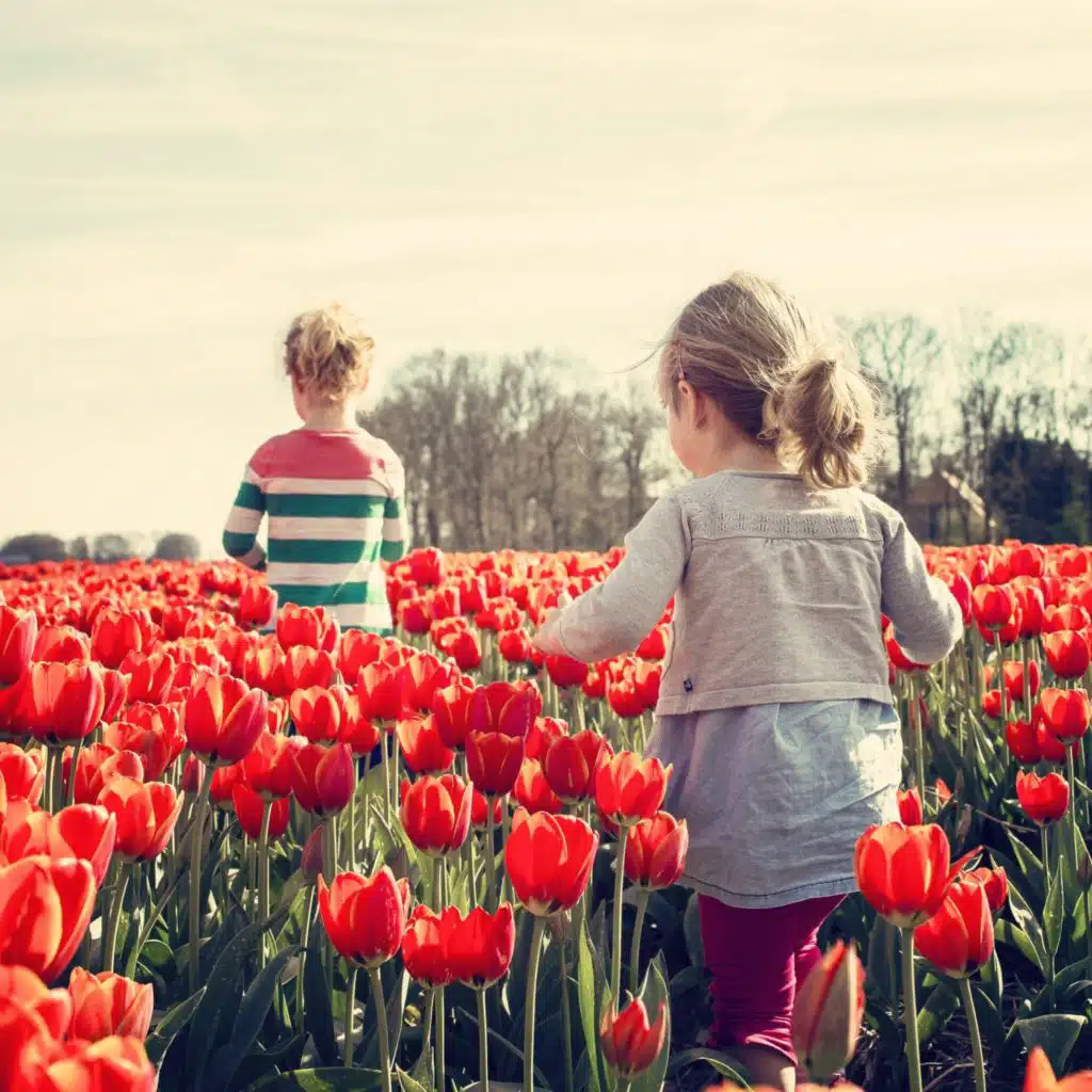 40 Winter Nursery Melodies