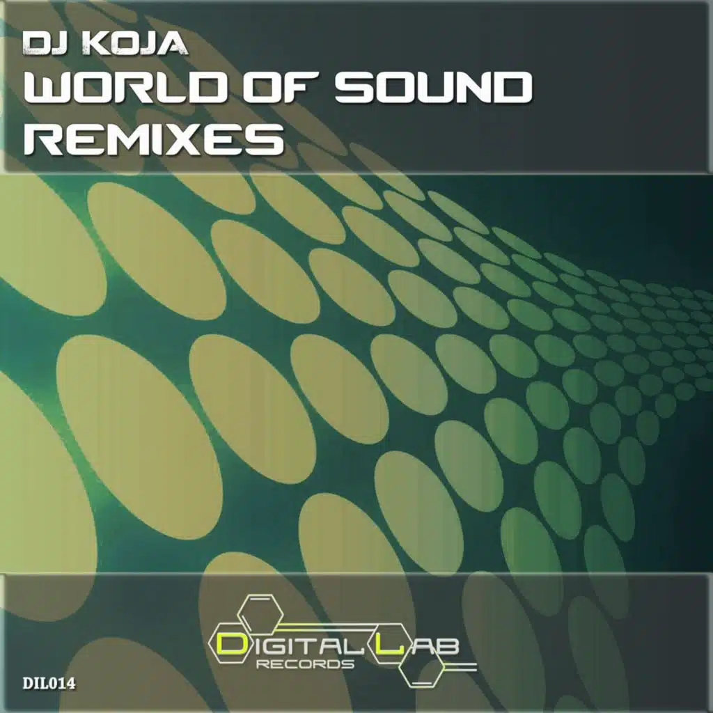 DJ Koja