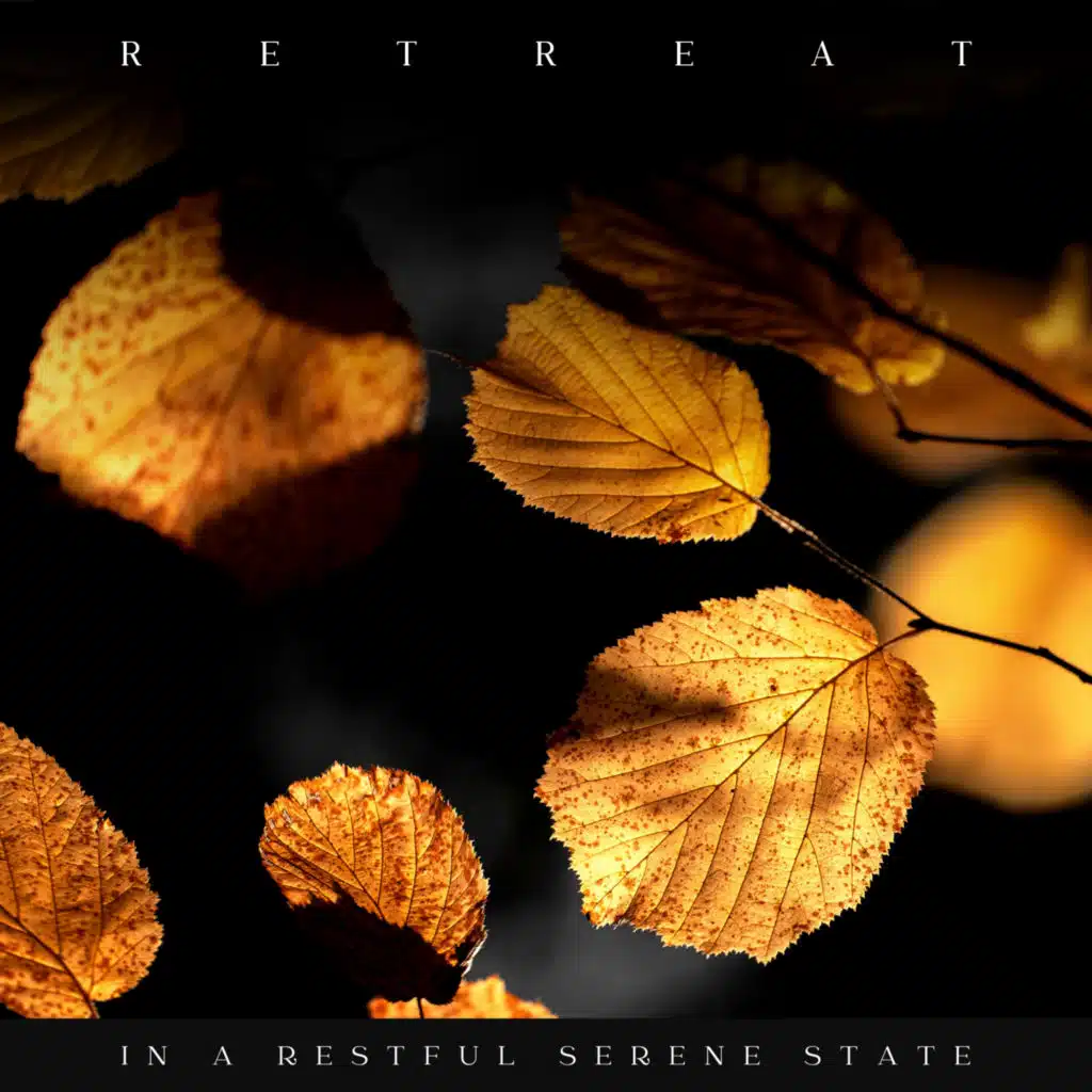 Insomnia Cure Maestro & Sleeping Baby