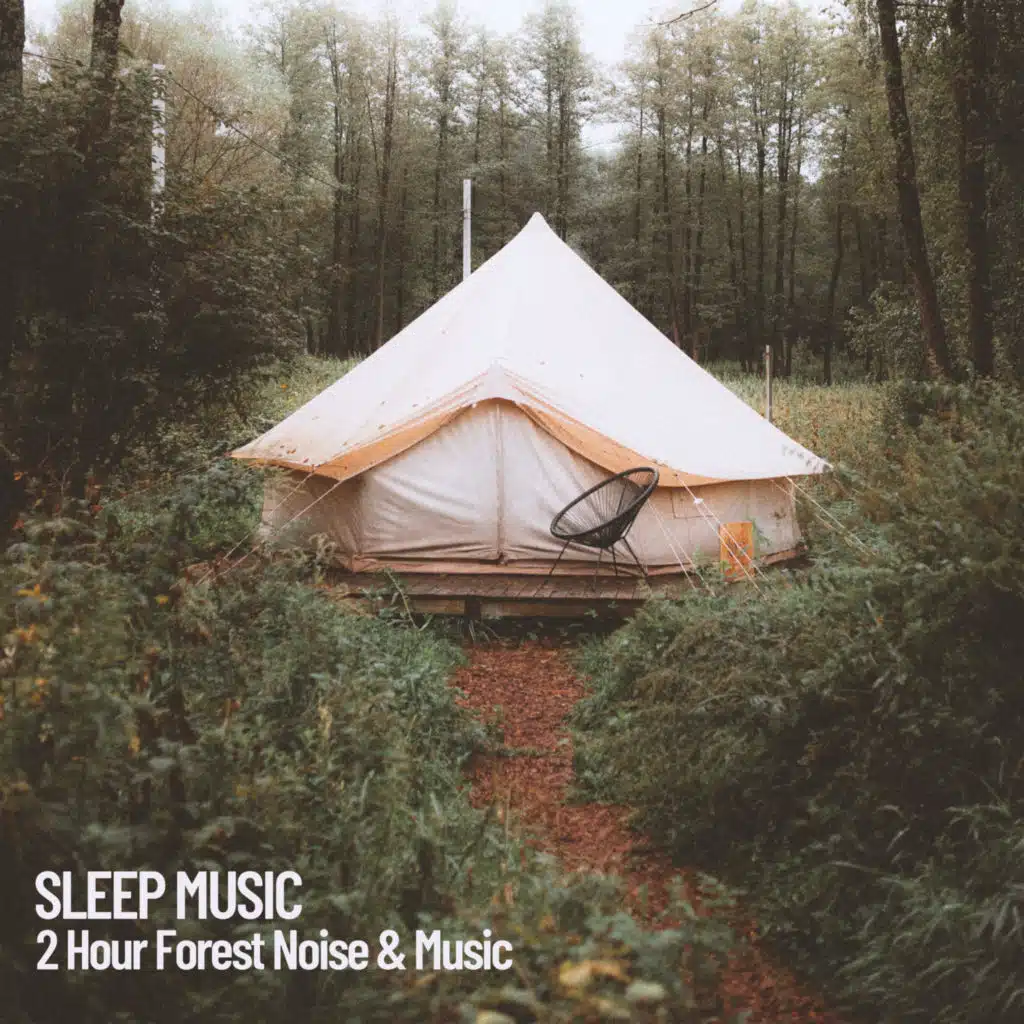 2 Hour of Forest Sounds And Music