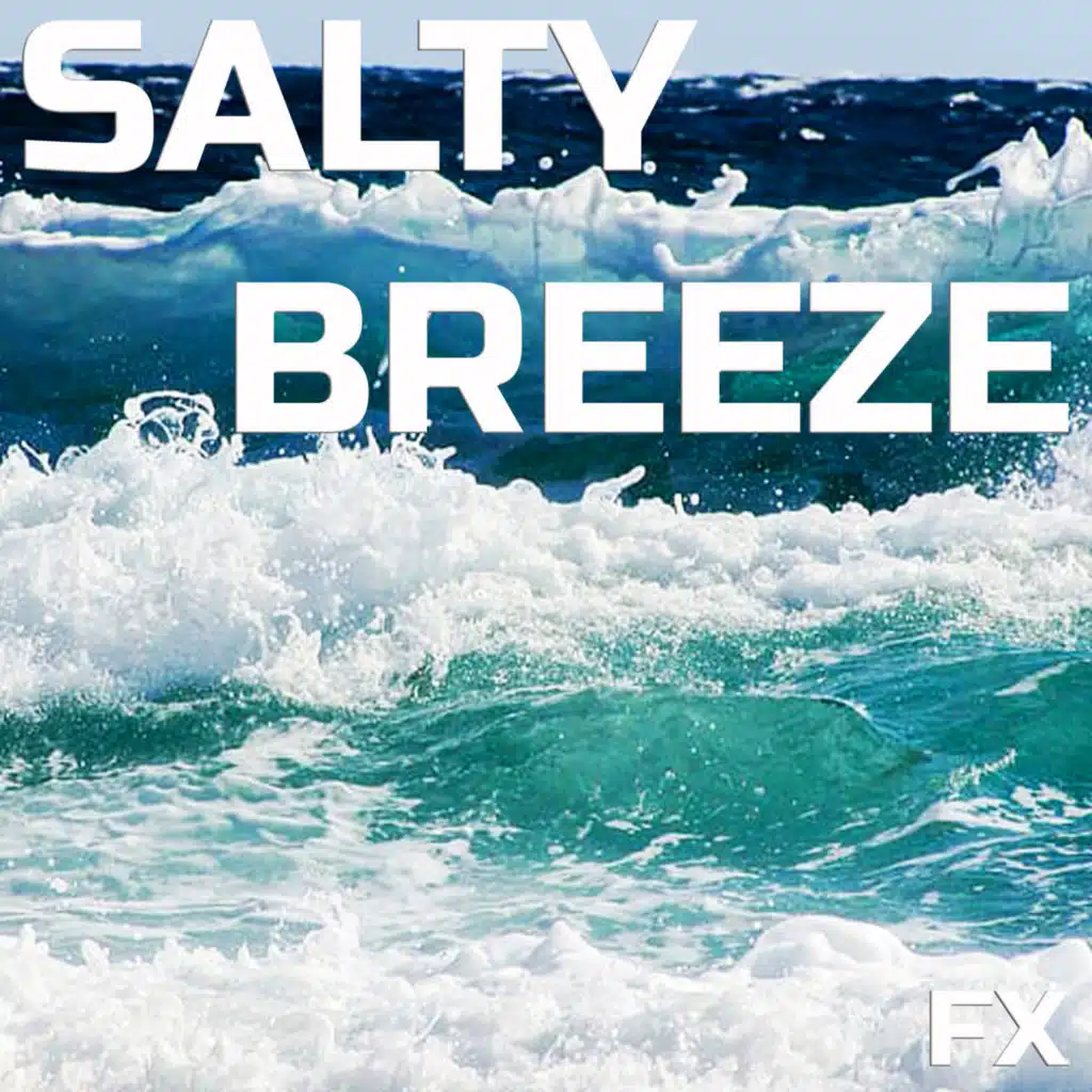 Salty Breeze FX (feat. Ambience FX, FX Effects, FX Ambience, Meditative Soundscapes, Celestial White Noise & Animal Planet Soundscapes)