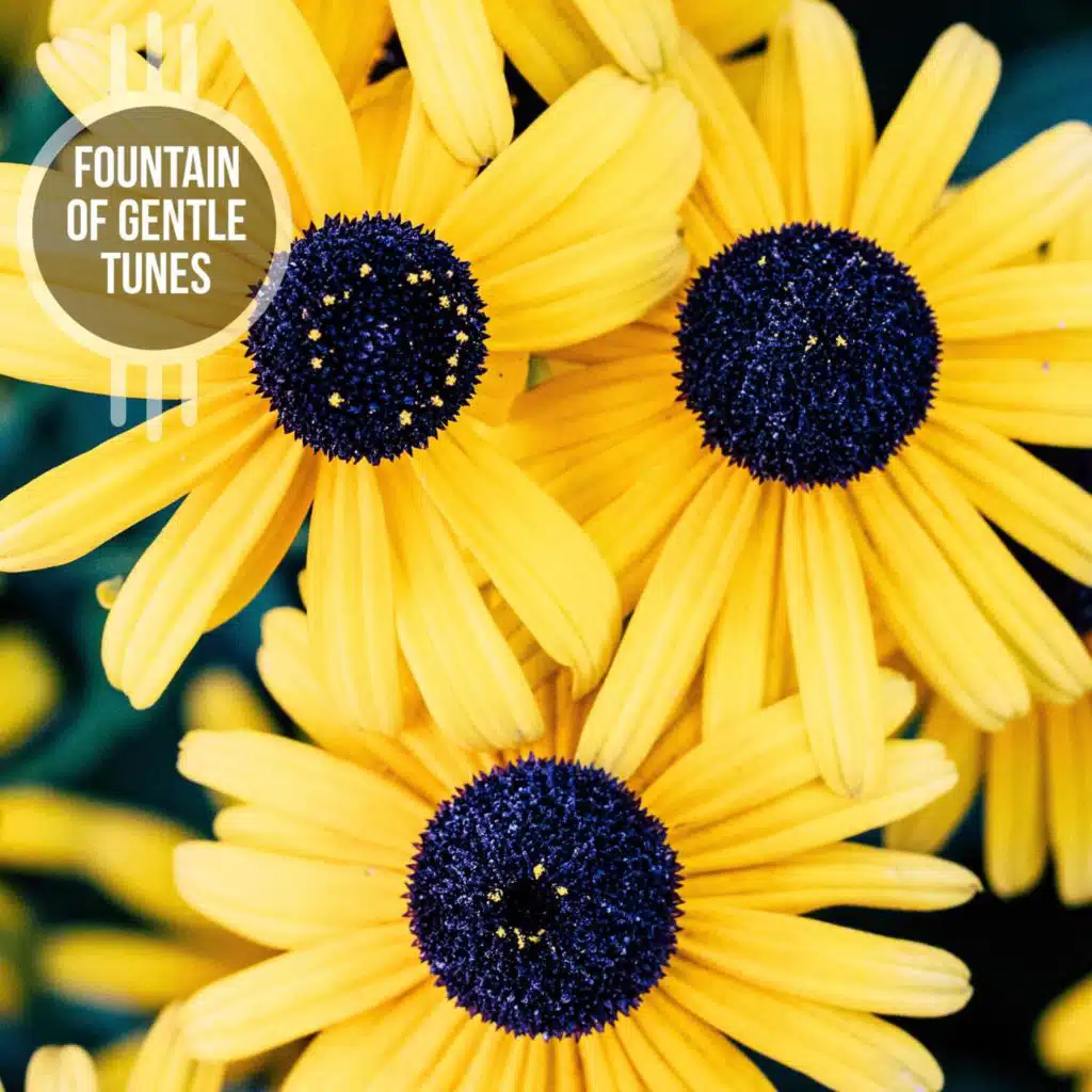 Fountain of Gentle Tunes