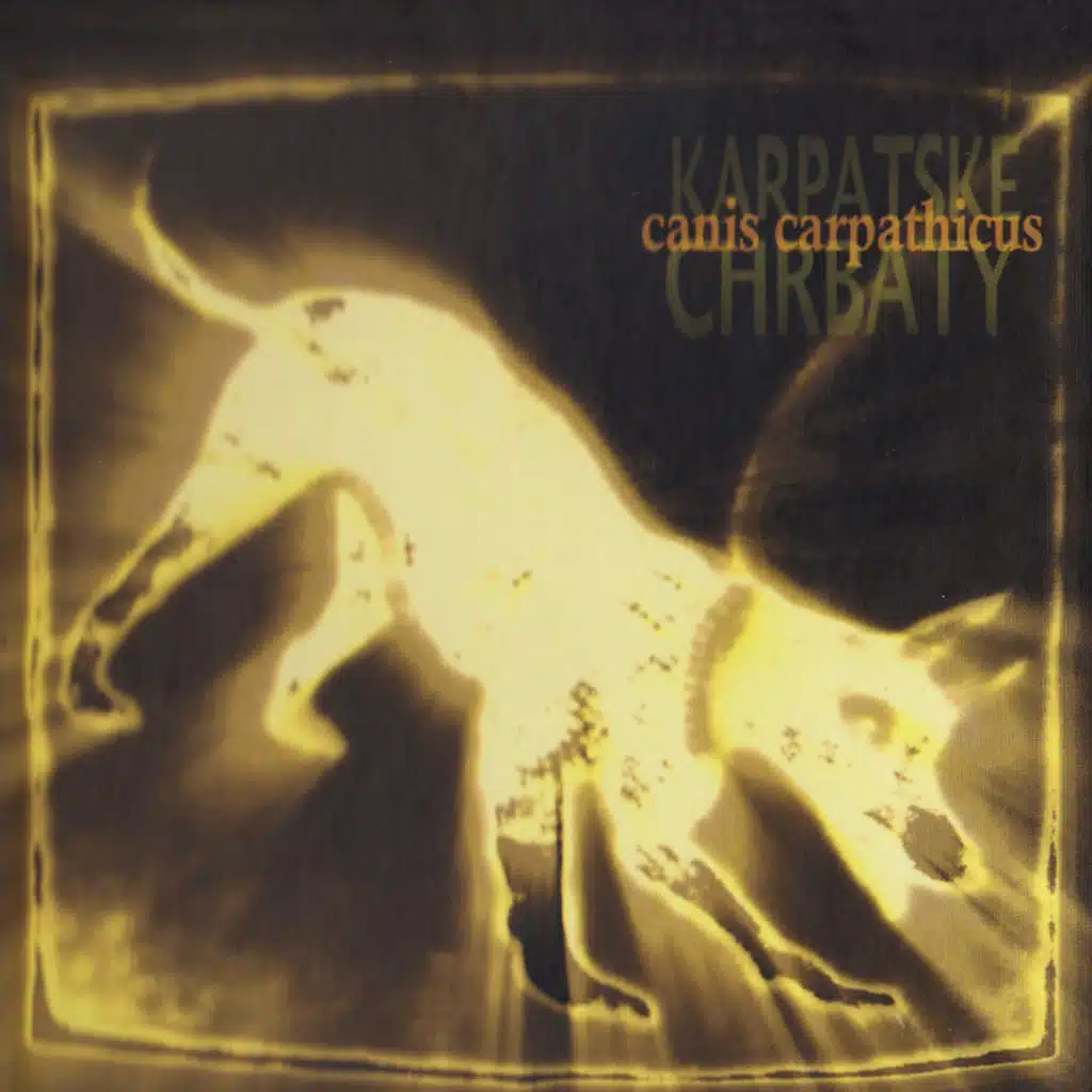 Canis Carpathicus