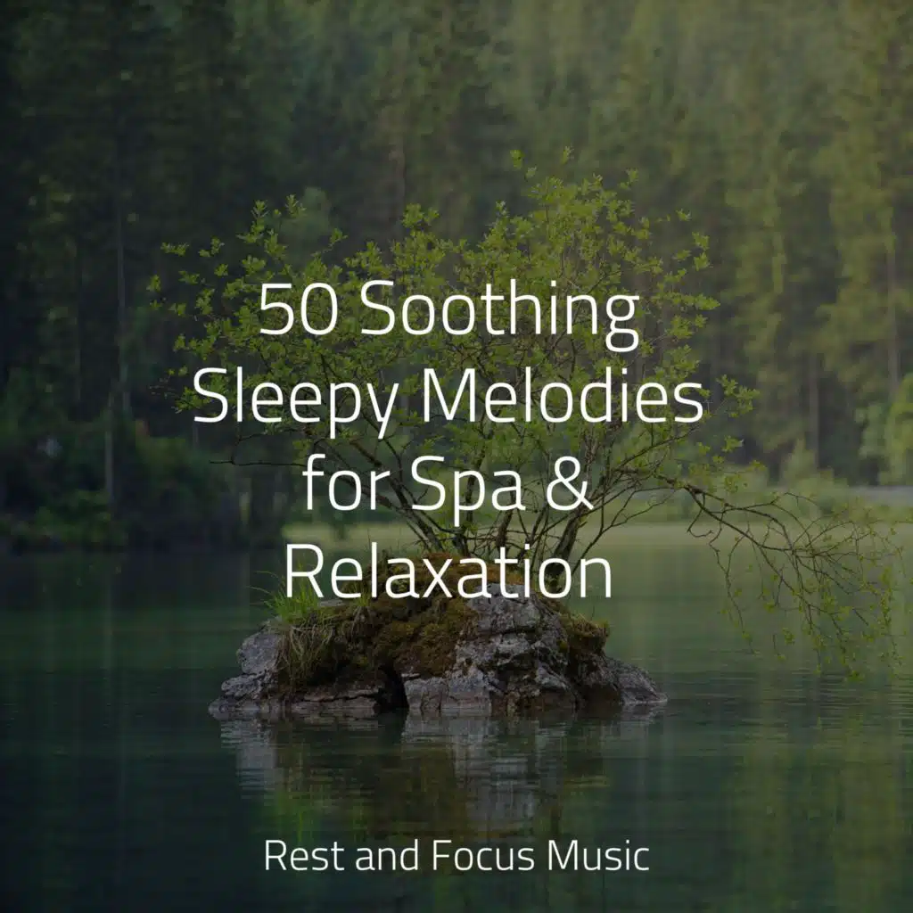 At Peace With the Mind