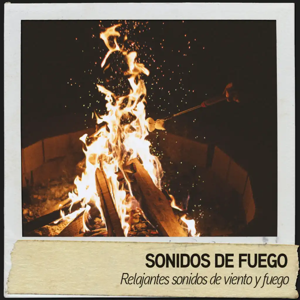 Fire Sounds & Música Relajante Para Leer