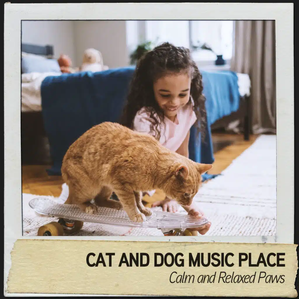 Cat and Dog Music Place: Calm and Relaxed Paws