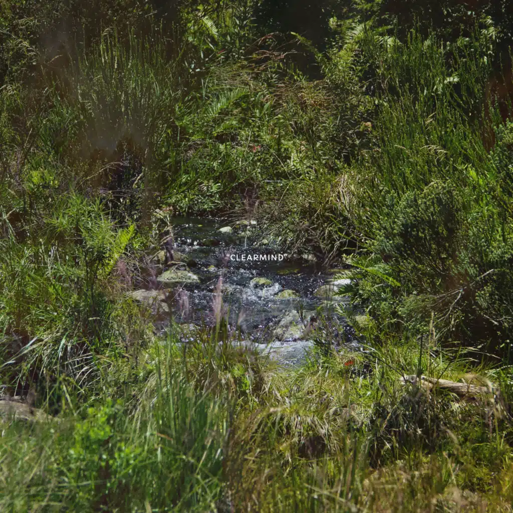 Clearmind