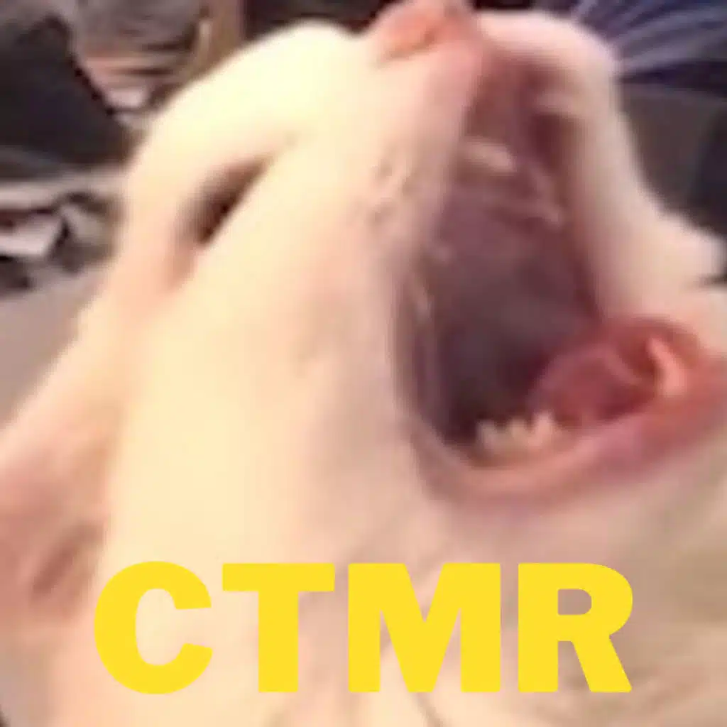 Ctmr