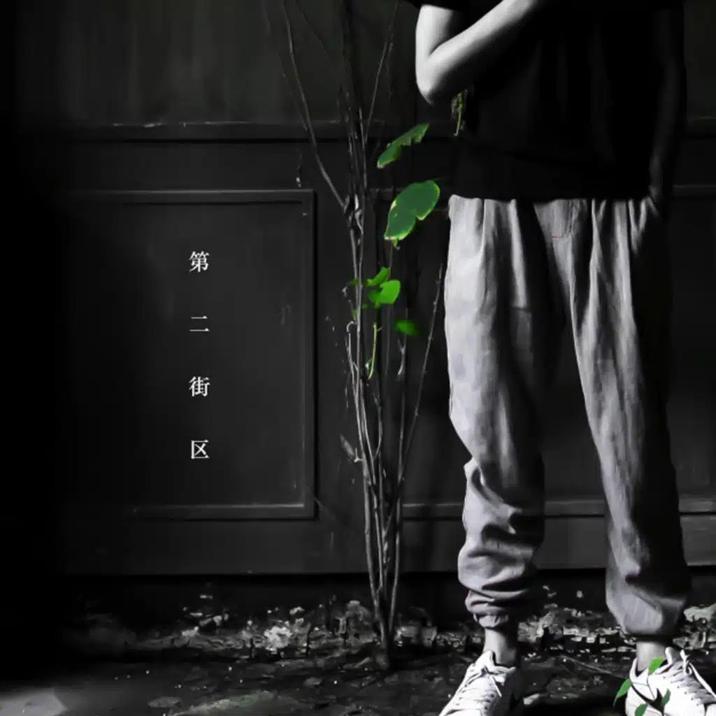 风吹丹顶鹤 (伴奏)