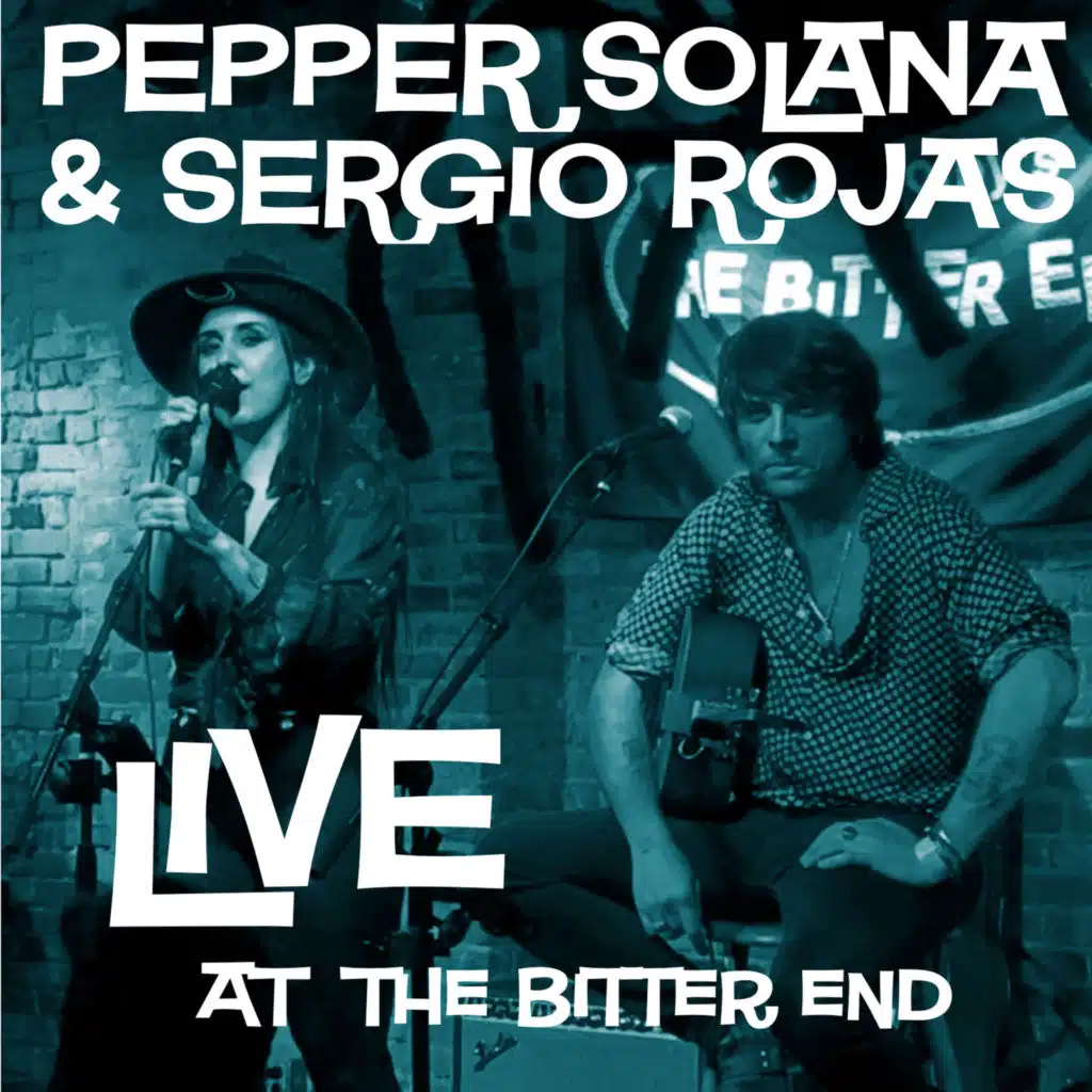 Live at the Bitter End