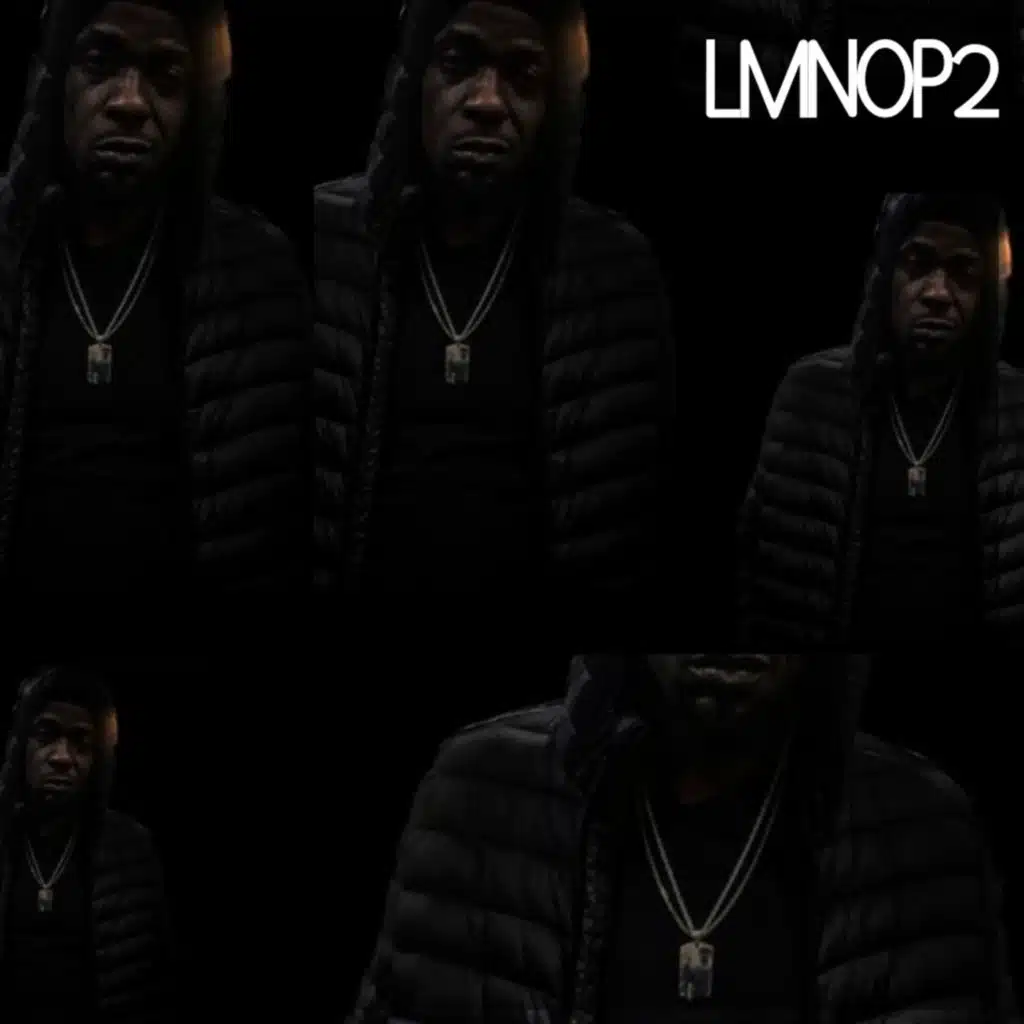 L.M.N.O.P., Vol. 2