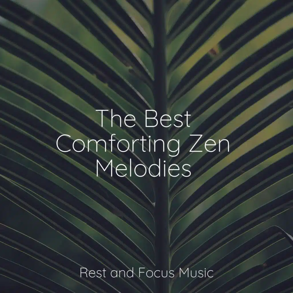 The Best Comforting Zen Melodies